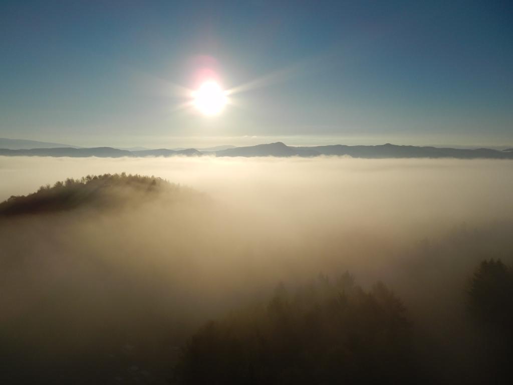 Shin Furano Prince Hotel Exterior photo Fog over the Black Forest